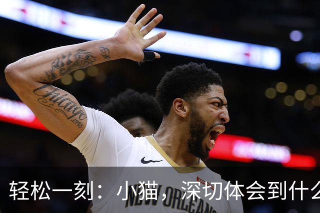 轻松一刻：小猫，深切体会到什么叫心有鱼而力不足~